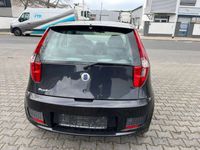 gebraucht Fiat Punto 1.2 8V Active