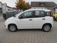 Gebraucht Fiat Panda Easy 69 PS (50 kW) 2016 Bianco ghiaccio/gelato Kleinwagen