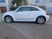 gebraucht VW Beetle 1.2 TSI DSG CUP CUP