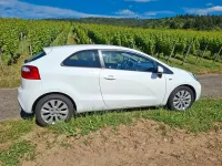 Gebraucht Kia Rio Edition 7 86 PS (63 kW) 2013 Weiß Kleinwagen
