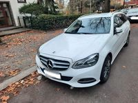 Gebraucht Mercedes E250 Avantgarde 204 PS (150 kW) 2014 Weiß Kombi