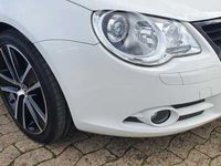 gebraucht VW Eos 2.0 TDI DPF DSG White Night Individual Standhzg Xenon Leder Navi Dynaudio