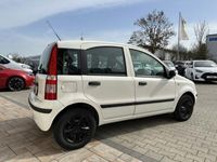gebraucht Fiat Panda 1.1 8V Active 40 kW (54 PS), Schalt. 5-Gang, Fr...