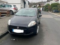 gebraucht Fiat Punto 