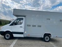 gebraucht Mercedes Sprinter verkaufswagen