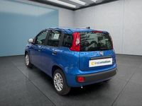 Neu Fiat Panda 69 PS (50 kW) 2025 Blau Kleinwagen