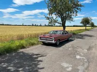 Gebraucht Ford Mercury Comet 200 PS (147 kW) 1967 Rot Limousine