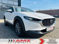 gebraucht Mazda CX-30 2.0 Edition 100 Navi LED BOSE DAB PDC Lede