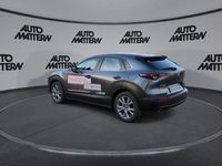 Gebraucht Mazda CX-30 Selection 110 PS (80 kW) 2023 Grau SUV