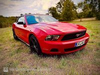 Gebraucht Ford Mustang 213 PS (156 kW) 2010 Rot Cabrio