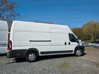 Gebraucht Fiat Ducato 180 PS (132 kW) 2014 Weiß Van
