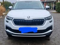 Gebraucht Skoda Kodiaq Ambition 150 PS (110 kW) 2021 Weiß SUV