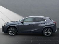 Gebraucht Lexus UX 250h Sport Line 184 PS (135 kW) 2023 Grau SUV