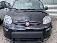 Gebraucht Fiat Panda 69 PS (50 kW) 2024 Cinema schwarz Kleinwagen
