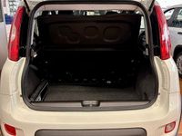 Gebraucht Fiat Panda 69 PS (50 kW) 2023 Weiß Kleinwagen