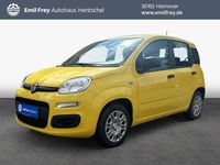 Neu Fiat Panda 69 PS (50 kW) 2025 Positano gelb Kleinwagen