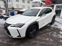 Gebraucht Lexus UX 250h 152 PS (111 kW) 2020 SUV