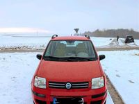 Gebraucht Fiat Panda Dynamic 60 PS (44 kW) 2006 Rot Kleinwagen