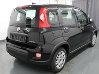 Gebraucht Fiat Panda 69 PS (50 kW) 2023 Schwarz Limousine