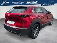 Gebraucht Mazda CX-30 122 PS (89 kW) 2021 Rot SUV