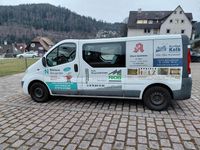 Gebraucht Opel Vivaro 114 PS (83 kW) 2013 Weiß Van / Kleinbus