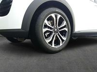 Neu Ford Puma Titanium 125 PS (91 kW) 2025 Frozen white SUV