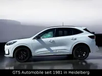 Gebraucht Ford Kuga ST-Line X 186 PS (136 kW) 2026 Weiß SUV