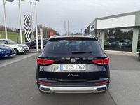 Neu Seat Ateca Xperience 150 PS (110 kW) 2025 SUV
