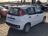 Gebraucht Fiat Panda 69 PS (50 kW) 2026 Gelato weiß dach schwarz (weis Kleinwagen