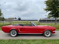 Gebraucht Ford Mustang GT 200 PS (147 kW) 1966 Rangoon red Cabrio
