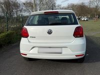 Gebraucht VW Polo 60 PS (44 kW) 2014 Weiß Kleinwagen