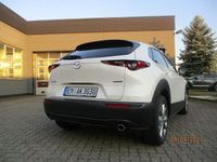 Gebraucht Mazda CX-30 Selection 122 PS (89 kW) 2020 Weiß SUV