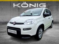 Gebraucht Fiat Panda 69 PS (50 kW) 2024 Gelato weiss Kleinwagen