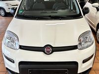 Gebraucht Fiat Panda 69 PS (50 kW) 2023 Weiß Kleinwagen