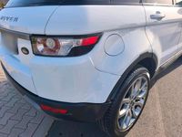 Gebraucht Land Rover Range Rover evoque 190 PS (139 kW) 2012 Weiß SUV