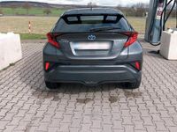 gebraucht Toyota C-HR 