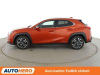 Gebraucht Lexus UX 250h 184 PS (135 kW) 2022 Braun SUV