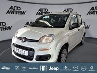 Neu Fiat Panda Icon 65 PS (47 kW) 2026 Weiß Kleinwagen