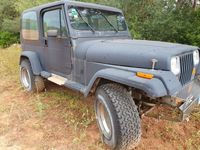 Gebraucht Jeep Wrangler 178 PS (130 kW) 1992 Schwarz SUV