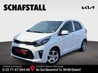 Gebraucht Kia Picanto Vision 67 PS (49 kW) 2024 Weiss ((ud) schneeweiss) Kleinwagen