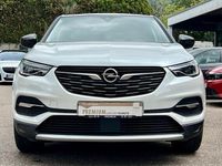 Gebraucht Opel Grandland X 131 PS (96 kW) 2020 Weiß SUV