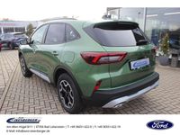 Gebraucht Ford Kuga Active 152 PS (111 kW) 2024 Grün SUV