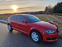 Używany Audi A3 Ambition 125 KM (91 kW) 2009 Hatchback
