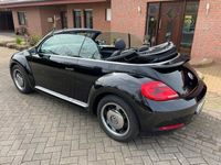 gebraucht VW Beetle Cabrio 2.0 TDI