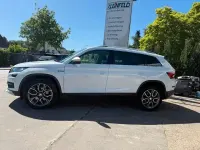 Gebraucht Skoda Kodiaq 190 PS (139 kW) 2019 Moonweissmetallic SUV