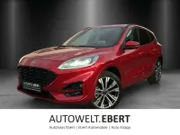Gebraucht Ford Kuga ST-Line X 224 PS (164 kW) 2021 Blau SUV
