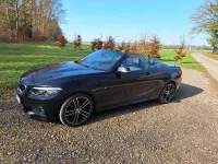 Gebraucht BMW 220 Efficient Dynamics 184 PS (135 kW) 2018 Schwarz Cabrio