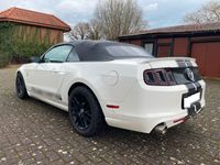 gebraucht Ford Mustang Cabrio Premium Edition