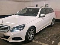 Gebraucht Mercedes E220 Avantgarde 170 PS (125 kW) 2015 Weiß Kombi
