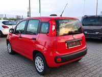Gebraucht Fiat Panda Easy 69 PS (50 kW) 2019 Rot Kleinwagen